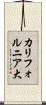 カリフォルニア大 Scroll