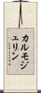 カルモジュリン Scroll