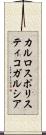 カルロスポリスティコガルシア Scroll