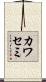 カワセミ Scroll