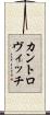 カントロヴィッチ Scroll