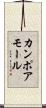 カンポアモール Scroll