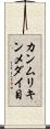 カンムリキンメダイ目 Scroll