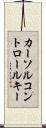 カーソルコントロールキー Scroll