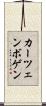 カーツェンボゲン Scroll