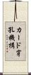 カード穿孔機構 Scroll