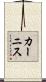 カーニス Scroll
