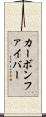 カーボンファイバー Scroll