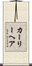 カーリーヘア Scroll