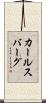 カールスバーグ Scroll