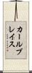カールブレイス Scroll