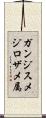 ガンジスメジロザメ属 Scroll