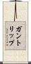 ガントリップ Scroll