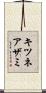 キツネアザミ Scroll