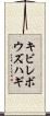 キビレボウズハギ Scroll
