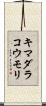 キマダラコウモリ Scroll