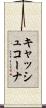キャッシュコーナ Scroll