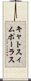キャトスィムポーラス Scroll