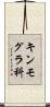 キンモグラ科 Scroll