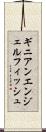 ギニアンエンジェルフィッシュ Scroll