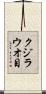 クジラウオ目 Scroll