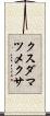 クスダマツメクサ Scroll
