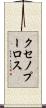 クセノプーロス Scroll