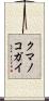 クマノコガイ Scroll