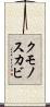 クモノスカビ Scroll