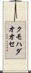 クモハダオオセ Scroll