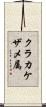 クラカケザメ属 Scroll