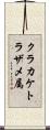 クラカケトラザメ属 Scroll