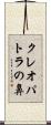 クレオパトラの鼻 Scroll