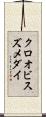 クロオビスズメダイ Scroll