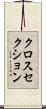 クロスセクション Scroll