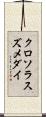 クロソラスズメダイ Scroll