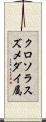 クロソラスズメダイ属 Scroll