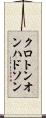 クロトンオンハドソン Scroll