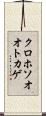 クロホソオオトカゲ Scroll
