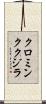クロミンククジラ Scroll
