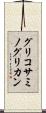 グリコサミノグリカン Scroll