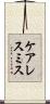 ケアレスミス Scroll