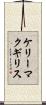 ケリーマクギリス Scroll