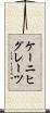 ケーニヒグレーツ Scroll