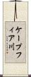 ケープフィア川 Scroll