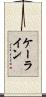 ケーライン Scroll