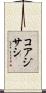 コアジサシ Scroll