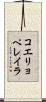 コエリョペレイラ Scroll