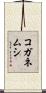 コガネムシ Scroll