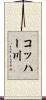 コッハー川 Scroll